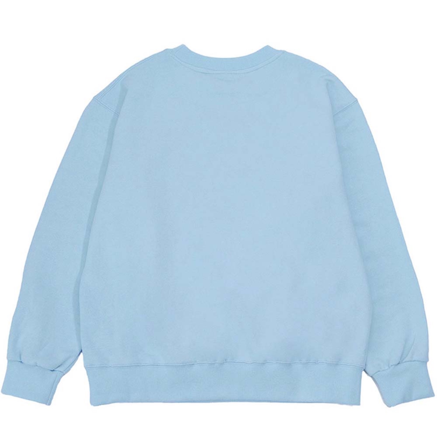 가장 멋진 맨투맨 스카이 블루 The Best Over-fit sweatshirt (Sky Blue)