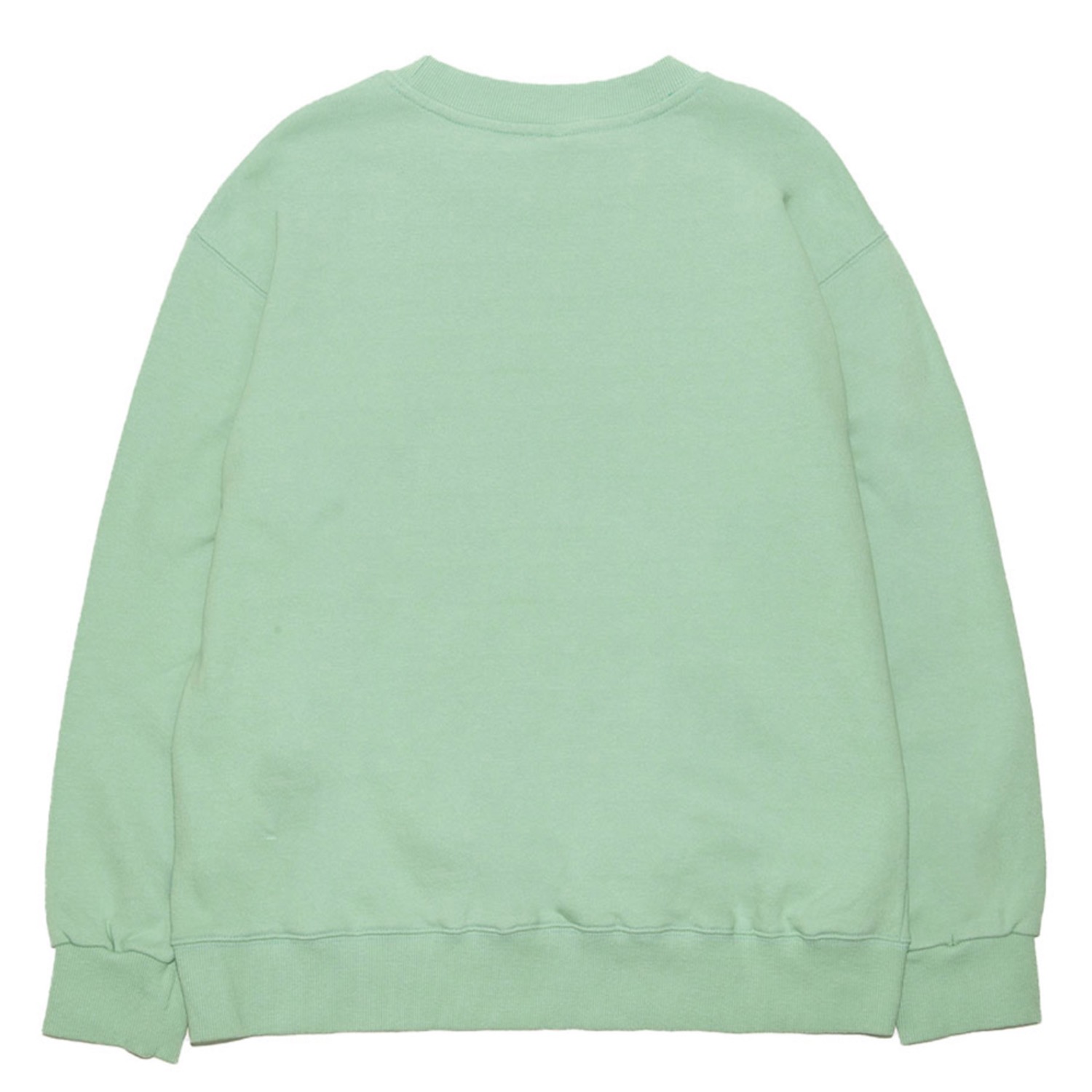 최고 맨투맨 The Best sweatshirt(Oversize fit) Mint