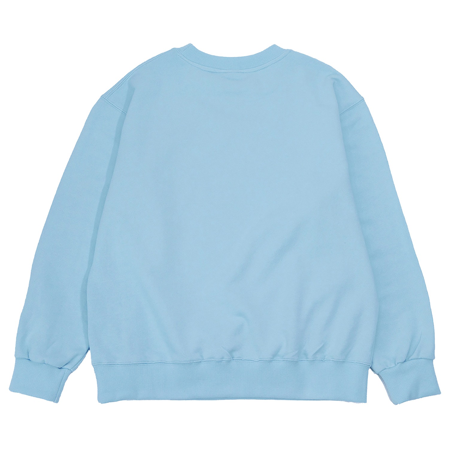 가장 멋진 맨투맨 스카이 블루 The Best Over-fit sweatshirt (Sky Blue)